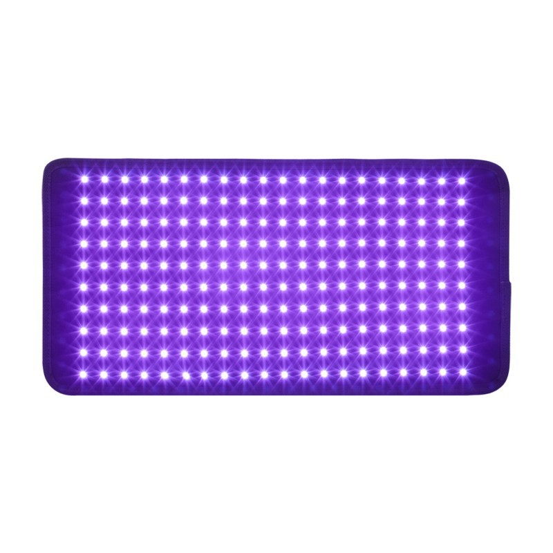 LED Beauty Instrument Photon Blue Light Red Light Infrared Therapy Lamp